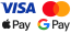 Card payment (GoPay) / Apple Pay / Google Pay