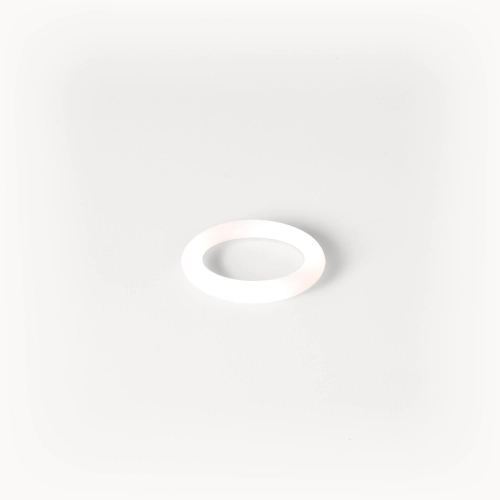 ROK o-ring