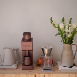 Varia VS4 – electric coffee grinder (rose)